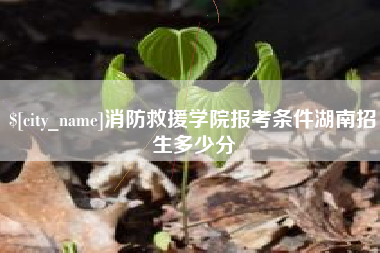 银川消防救援学院报考条件湖南招生多少分