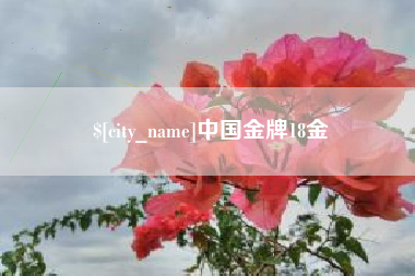 银川中国金牌18金