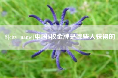 银川中国6枚金牌是哪些人获得的