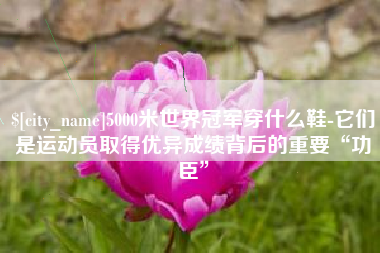 银川5000米世界冠军穿什么鞋-它们是运动员取得优异成绩背后的重要“功臣”