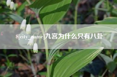 银川九宫为什么只有八卦