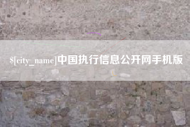 银川中国执行信息公开网手机版