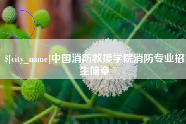 银川中国消防救援学院消防专业招生简章