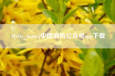 银川中国消防公众号app下载