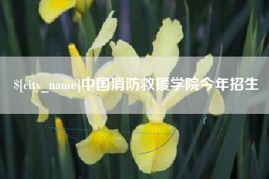 银川中国消防救援学院今年招生