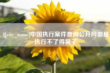银川中国执行案件查询公开网都是执行不了得案子