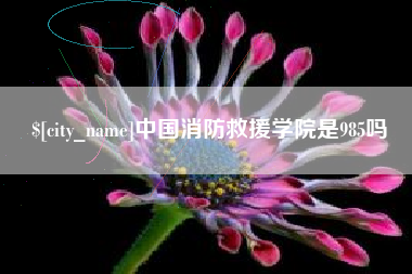 银川中国消防救援学院是985吗