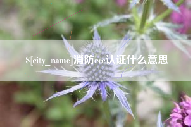 银川消防ccc认证什么意思