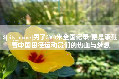 银川男子5000米全国记录-更是承载着中国田径运动员们的热血与梦想