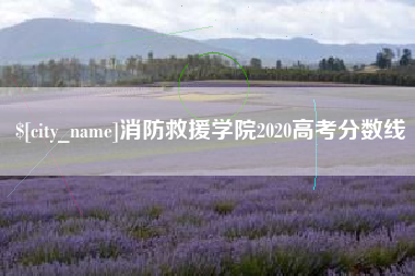 银川消防救援学院2020高考分数线