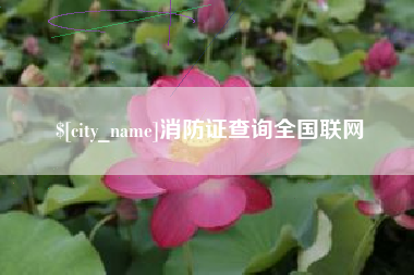 银川消防证查询全国联网
