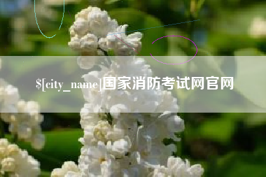 银川国家消防考试网官网