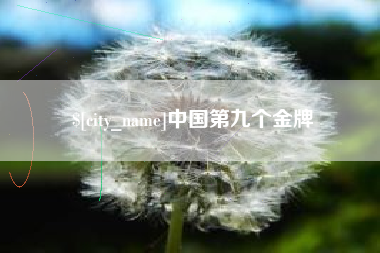银川中国第九个金牌