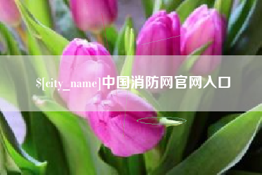 银川中国消防网官网入口
