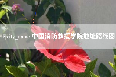 银川中国消防救援学院地址路线图