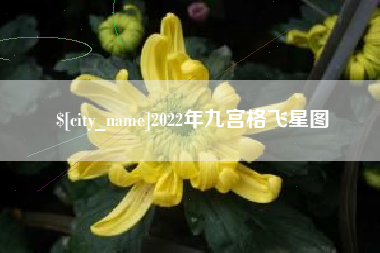 银川2022年九宫格飞星图