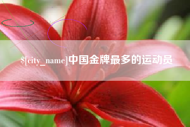 银川中国金牌最多的运动员