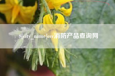 银川ccc消防产品查询网