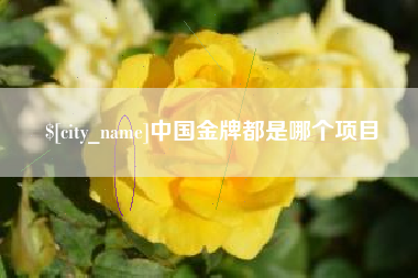 银川中国金牌都是哪个项目