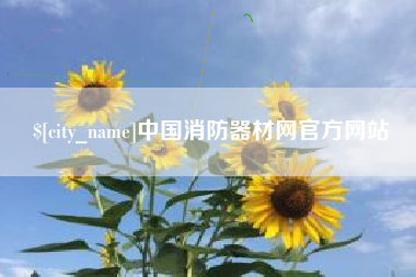 银川中国消防器材网官方网站