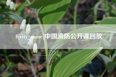 银川中国消防公开课回放