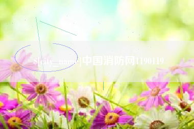 银川中国消防网1190119