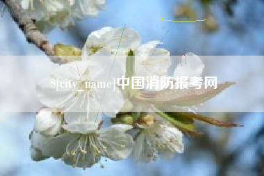 银川中国消防报考网