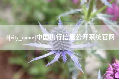 银川中国执行信息公开系统官网