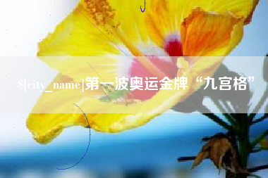 银川第一波奥运金牌“九宫格”