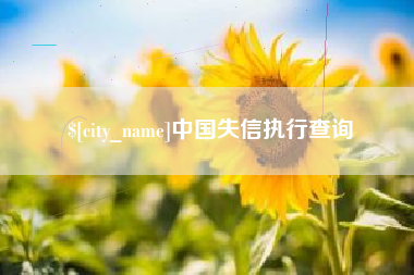 银川中国失信执行查询