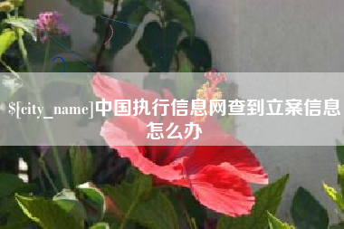 银川中国执行信息网查到立案信息怎么办