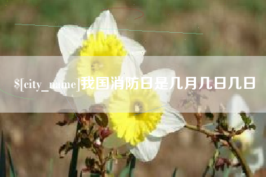 银川我国消防日是几月几日几日