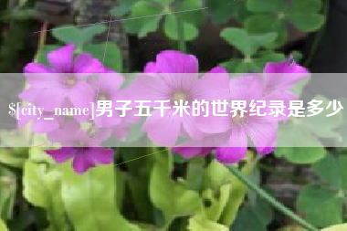 银川男子五千米的世界纪录是多少