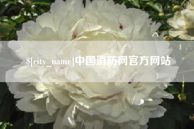 银川中国消防网官方网站