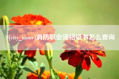 银川消防职业资格证书怎么查询