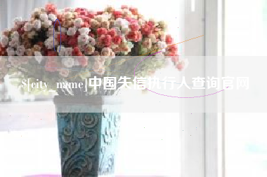 银川中国失信执行人查询官网