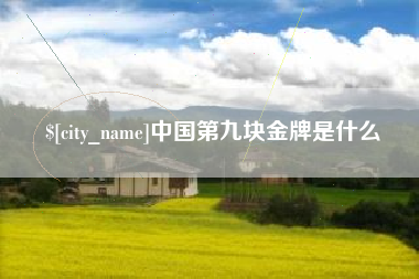 银川中国第九块金牌是什么