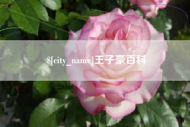 银川王子豪百科