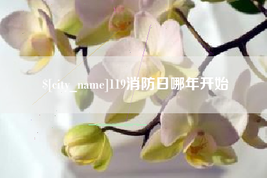 银川119消防日哪年开始