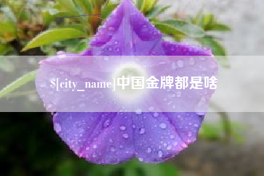 银川中国金牌都是啥