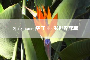 银川男子5000米世界冠军