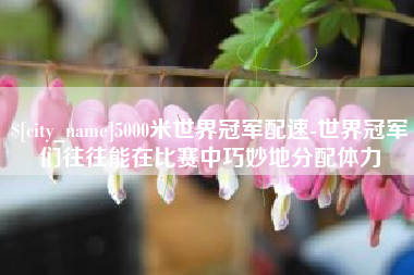 银川5000米世界冠军配速-世界冠军们往往能在比赛中巧妙地分配体力