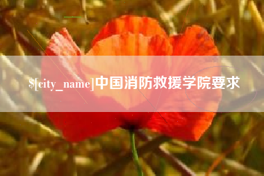 银川中国消防救援学院要求