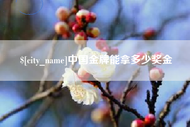 银川中国金牌能拿多少奖金