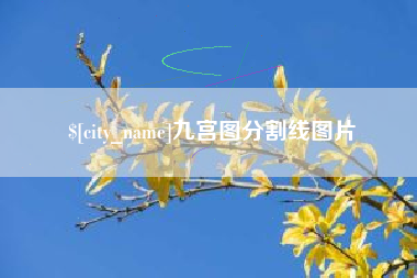 银川九宫图分割线图片