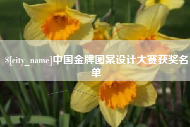 银川中国金牌图案设计大赛获奖名单