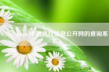 银川中国执行信息公开网的查询系统