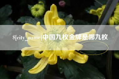 银川中国九枚金牌是哪九枚