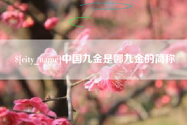银川中国九金是哪九金的简称