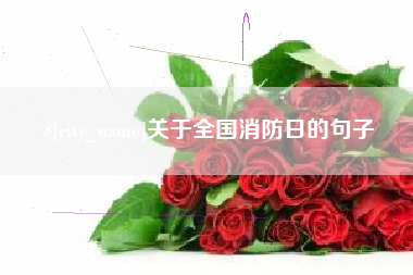 银川关于全国消防日的句子